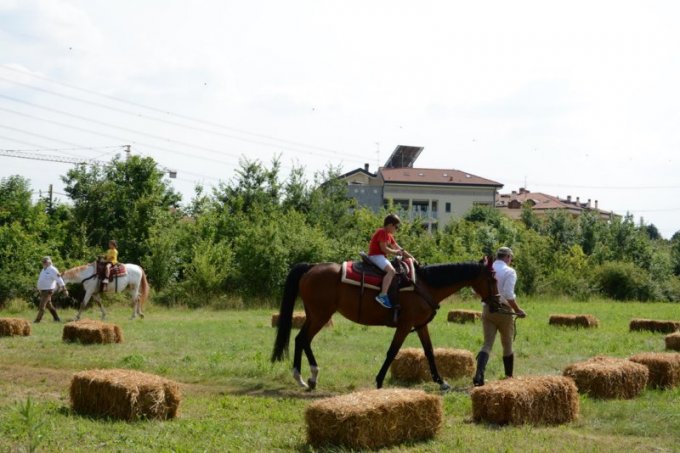 Oasi degli Amici Animali